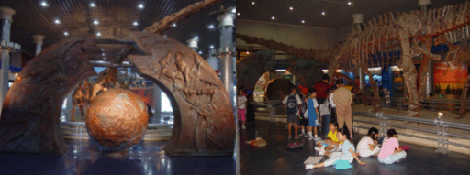 Museo de Historia Natural de pekin